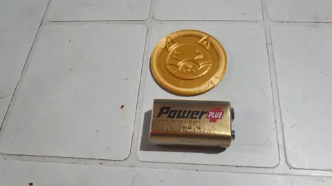 3d printed Shiba Inu Cryptocurrency Coin